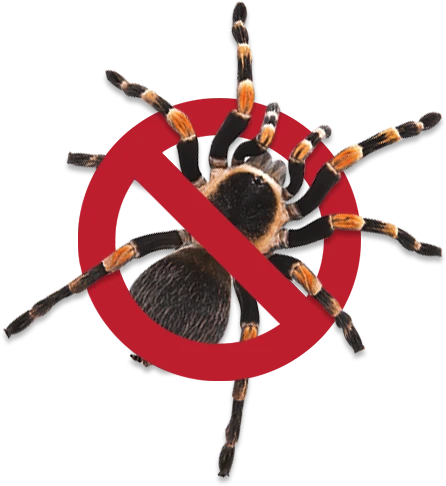No Pests - Melbourne Pest Control